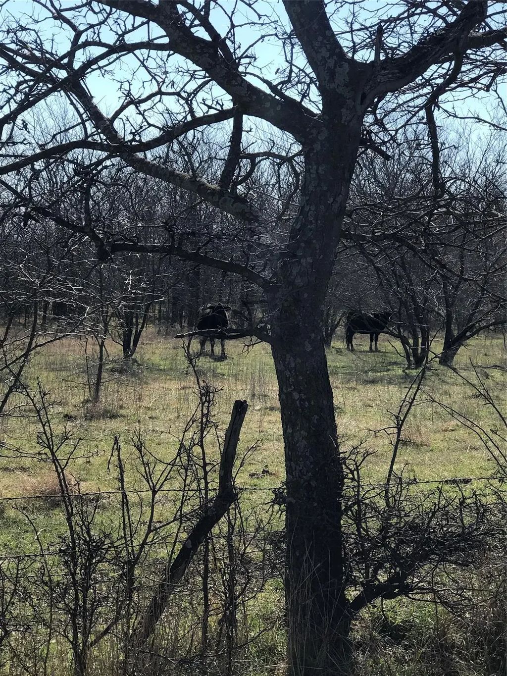 Tbd 13.846 Acres Winn Road, Collinsville
