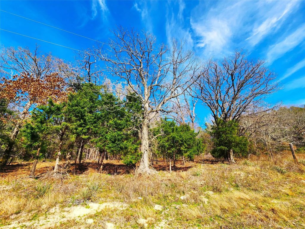 Lot 463 Us-175, Larue