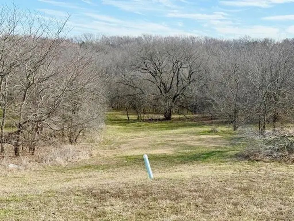 1224 Lilac Lane, Grand Prairie