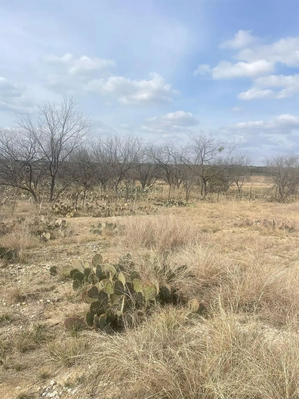 Tbd County Road 221, Brookesmith