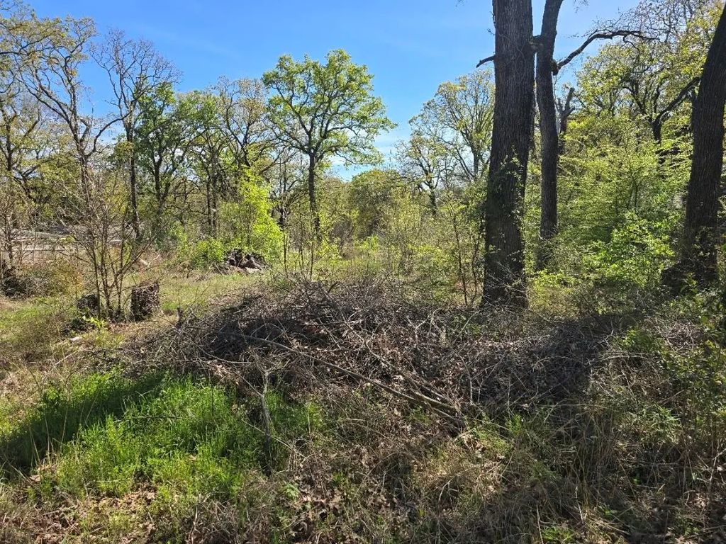 Lot 742 Oak Haven Drive, Gun Barrel City