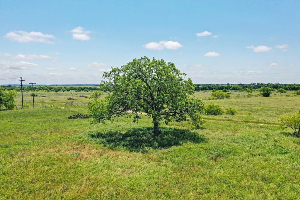 55.06 Acres 281 Highway, Jacksboro