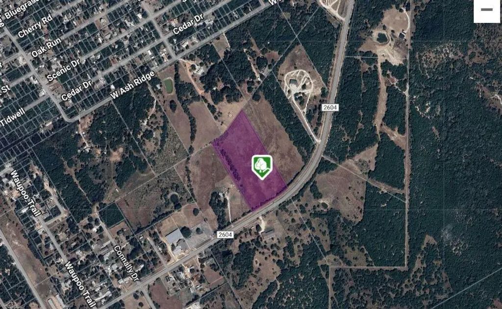 Lot 5 Fm 2604, Whitney