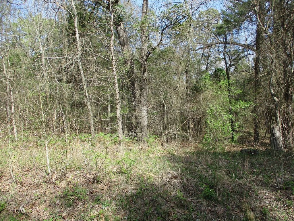 Tbd County Road 2958, Alba