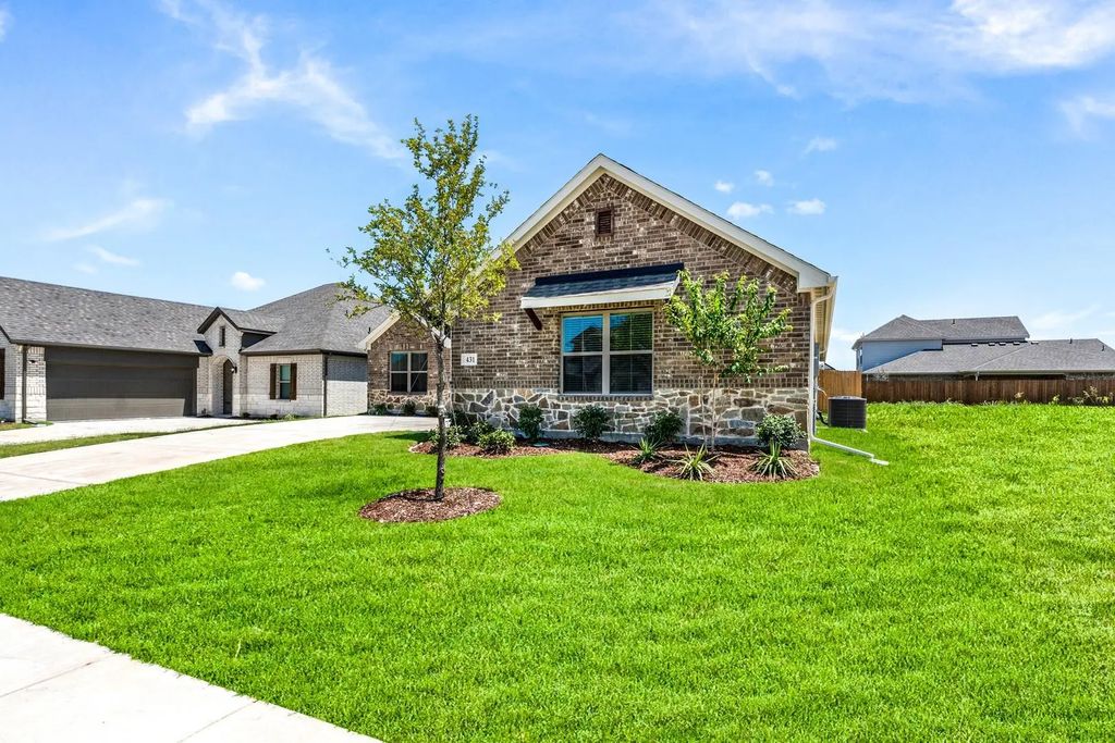 431 Maltese, Red Oak