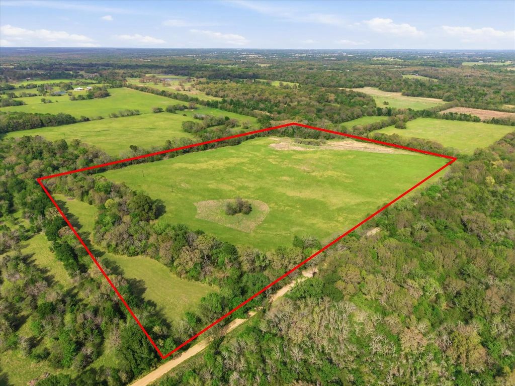 Tbd County Road 1151, Miller Grove