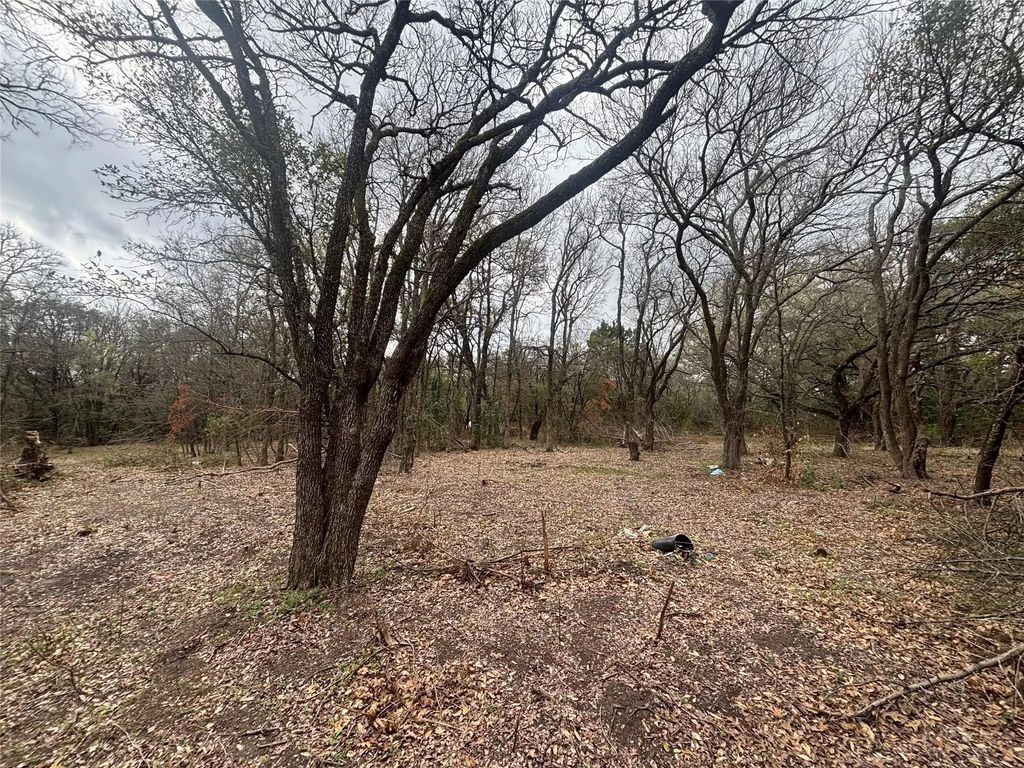 Virginia, Waco