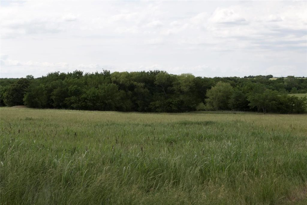 Tbd3 County Road 173, Celina