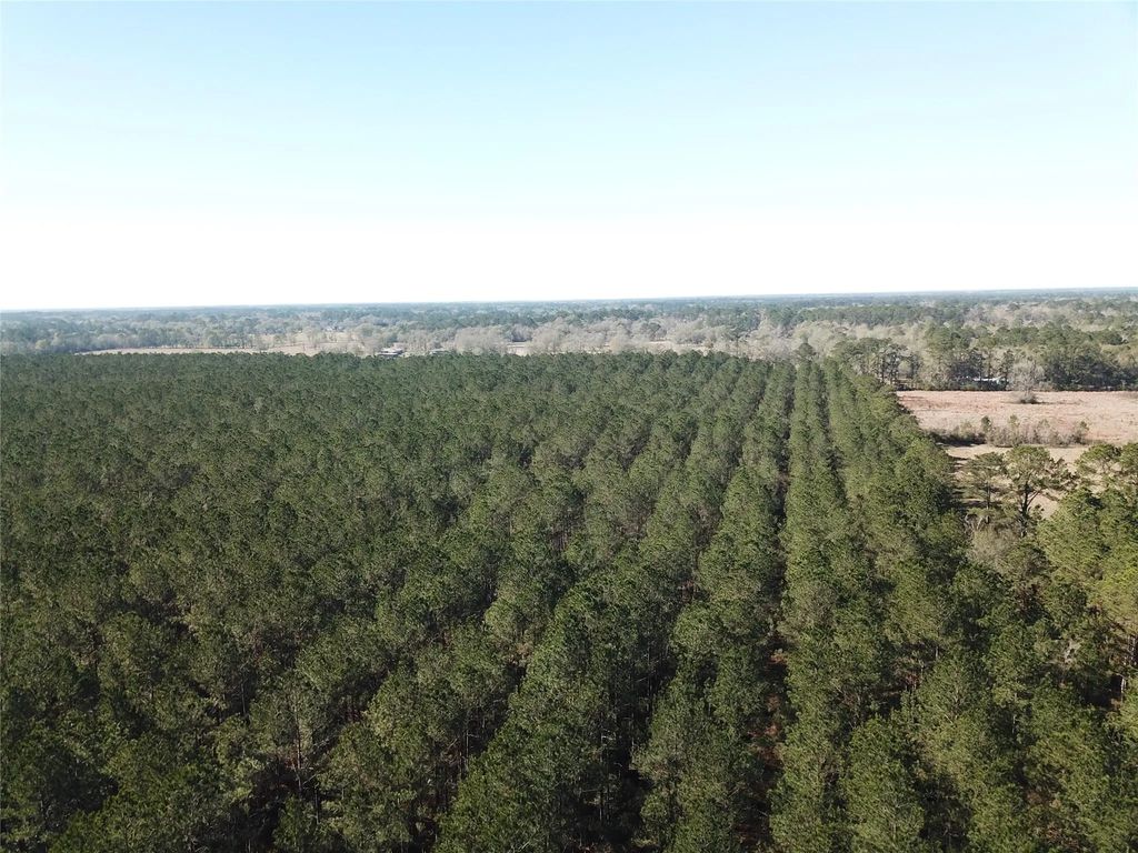 Corrigan Road, Vidor