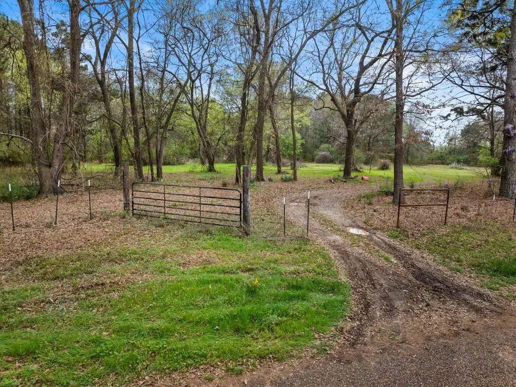 Cr1124 Old Hwy 11 Road, Daingerfield