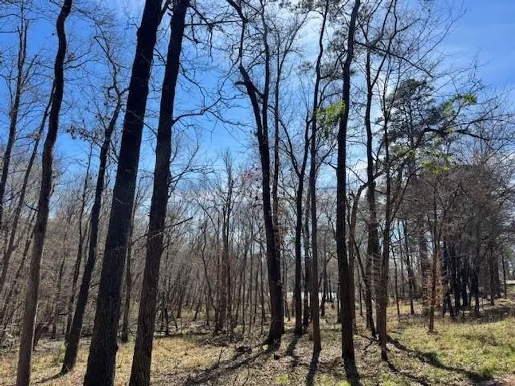 Tbd Anderson County Rd. 319, Frankston