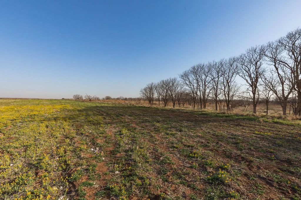 Tbd Cr 262, McCaulley