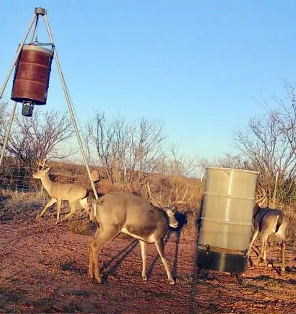 Tbd Pr Off Of Cr 444, Merkel