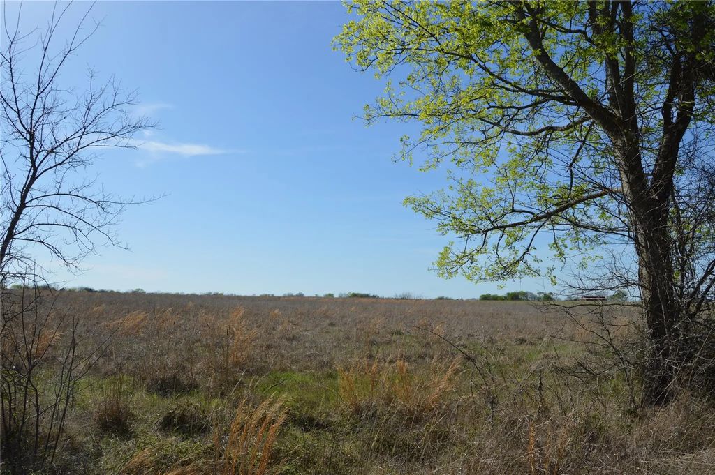 Tbd Lot 3 Rs County Road 1520, Point