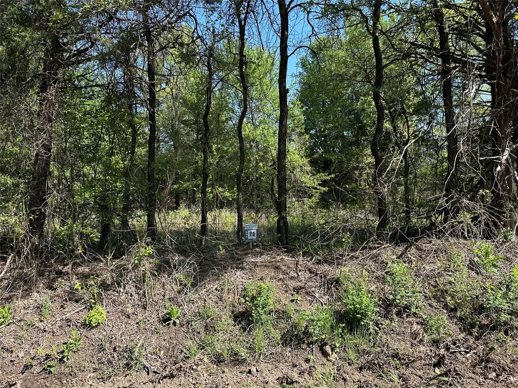 Tract 13 County Road 2951, Honey Grove