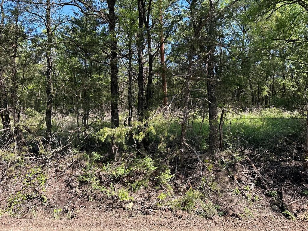 Tract 14 County Road 2951, Honey Grove