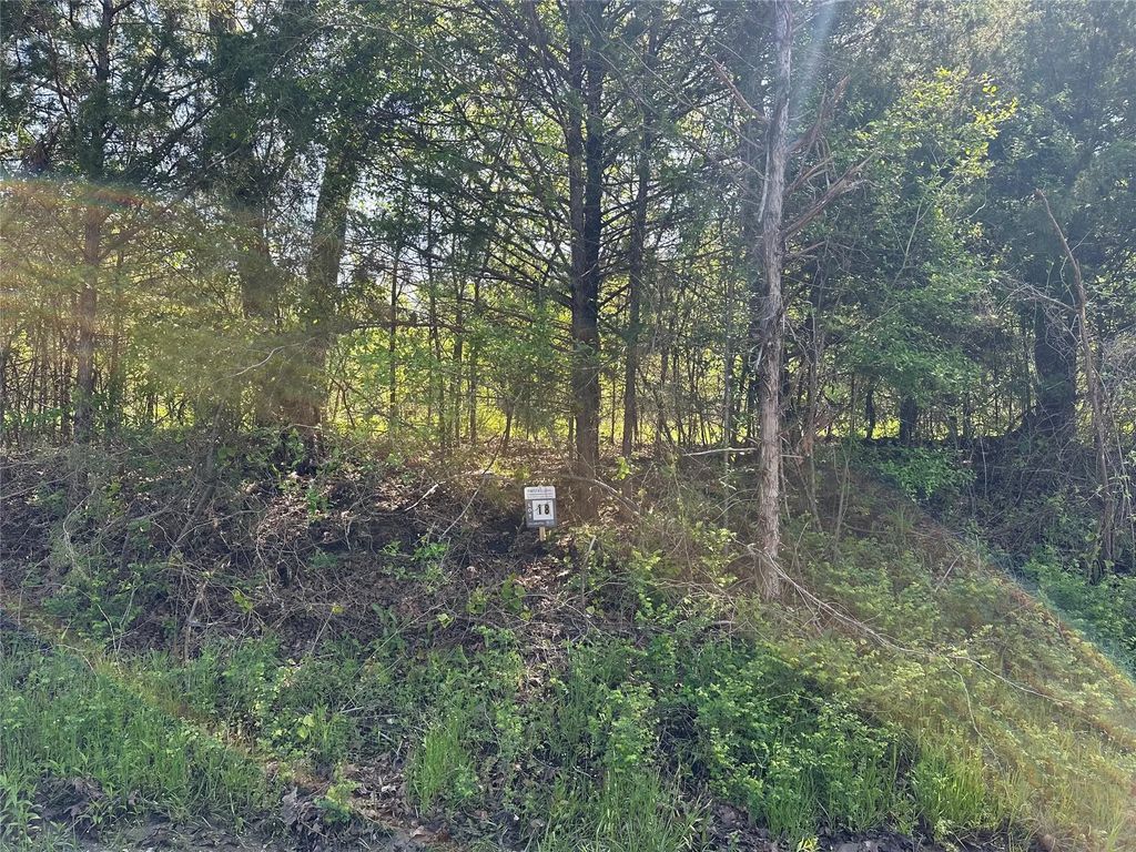 Tract 18 County Road 2960, Honey Grove