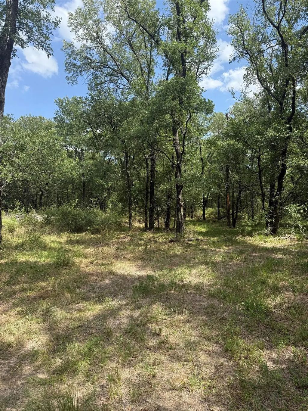1741 Elm Lake Road, Riesel
