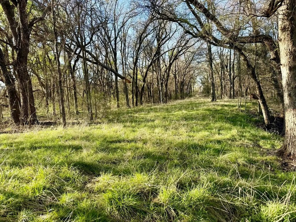 Tbd 20.02 Acres Cr 328, Dublin