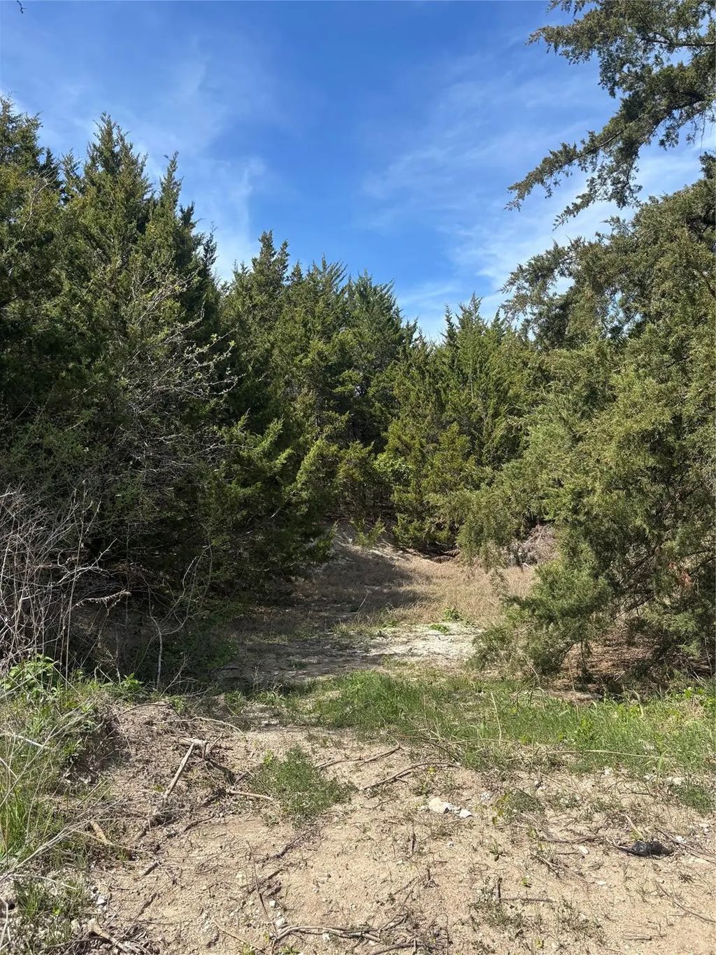 Tbd Fm 66, Waxahachie