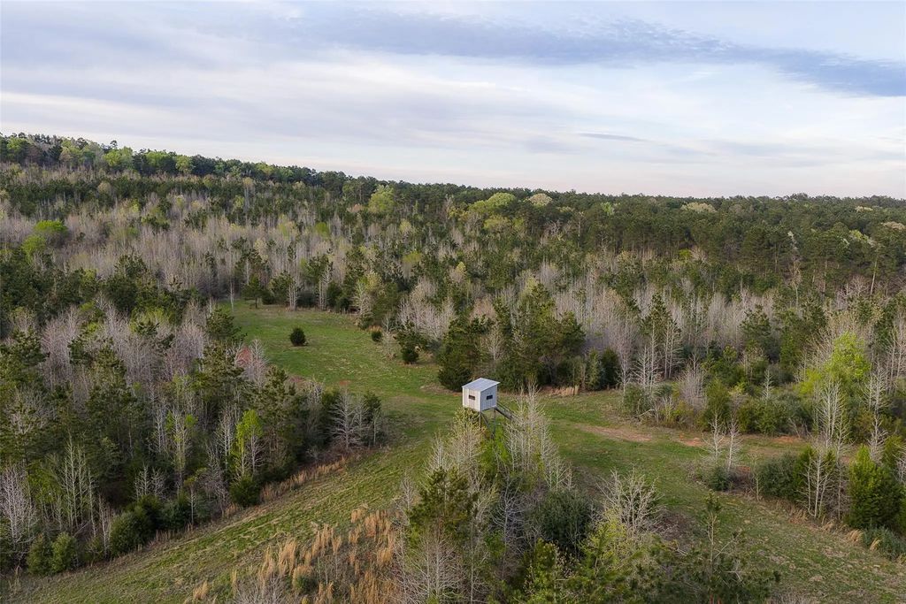 Off Of County Road 839, Nacogdoches
