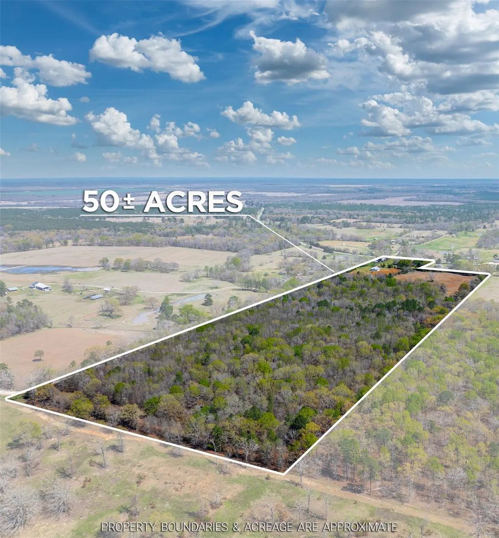 48 County Road 2360, Bagwell
