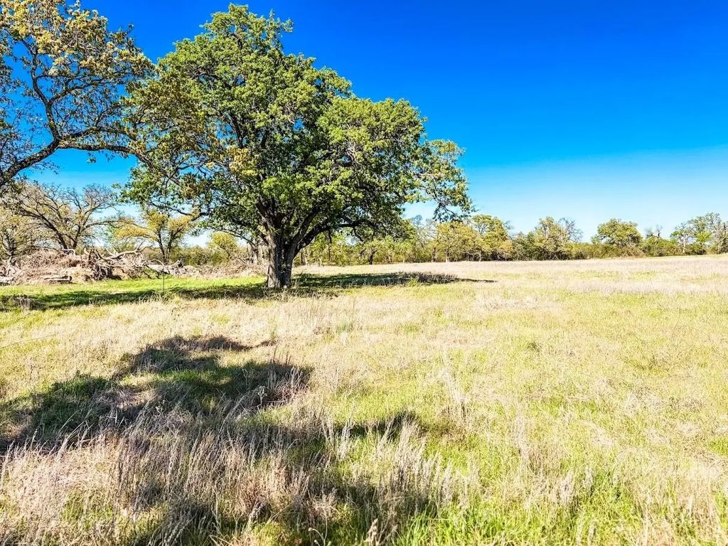 Tbd Tract 4 County Road 930, Teague