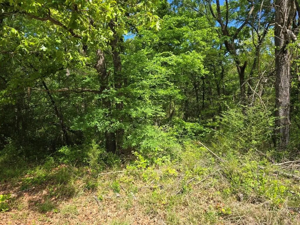 Lot 699 Shady Grove Road, Gun Barrel City