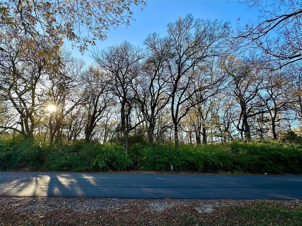 2107 Island, Bonham