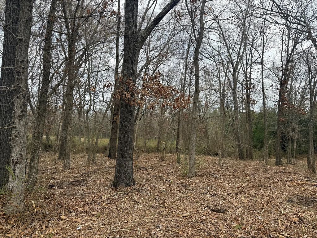 Tbd (lot 7) Florence Street, Grand Saline