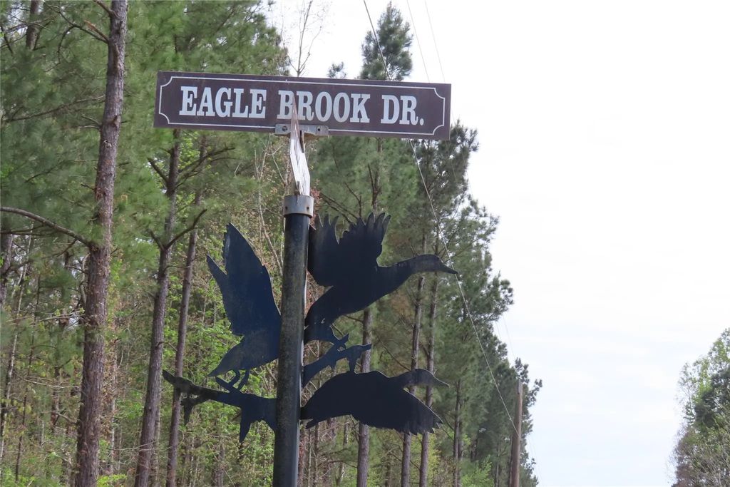 Eagle Brook, Lewisville