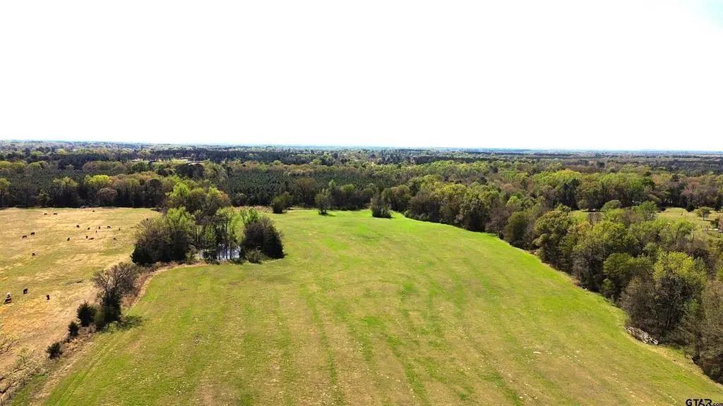 808 W Fm 1519, Pittsburg