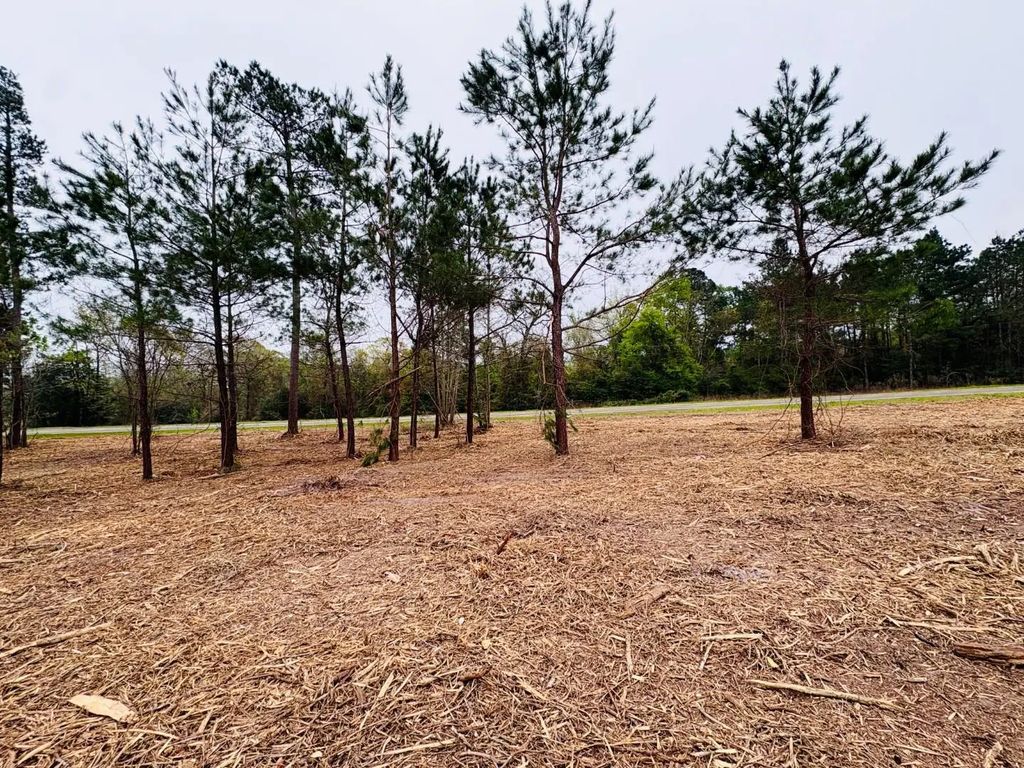 Tbd (tract B) Fm 711, Center