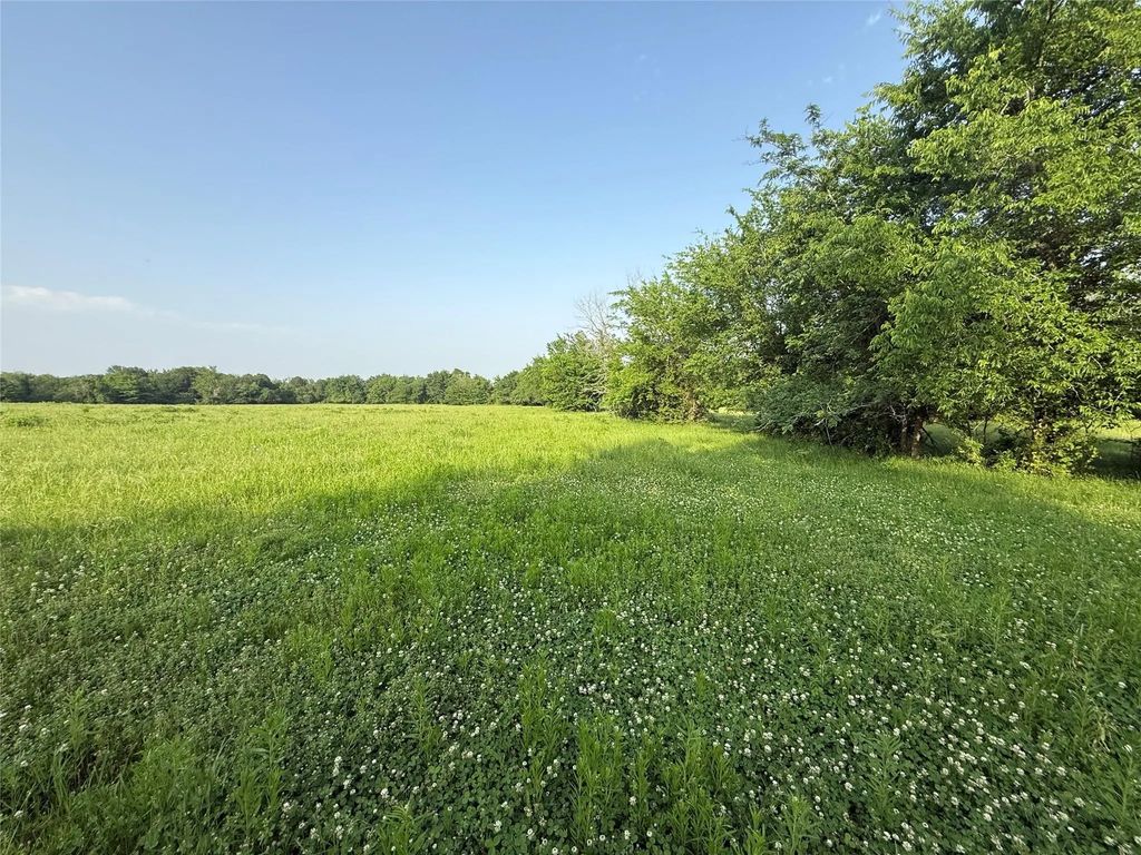 0000 Tbd N County Road 3528, Saltillo