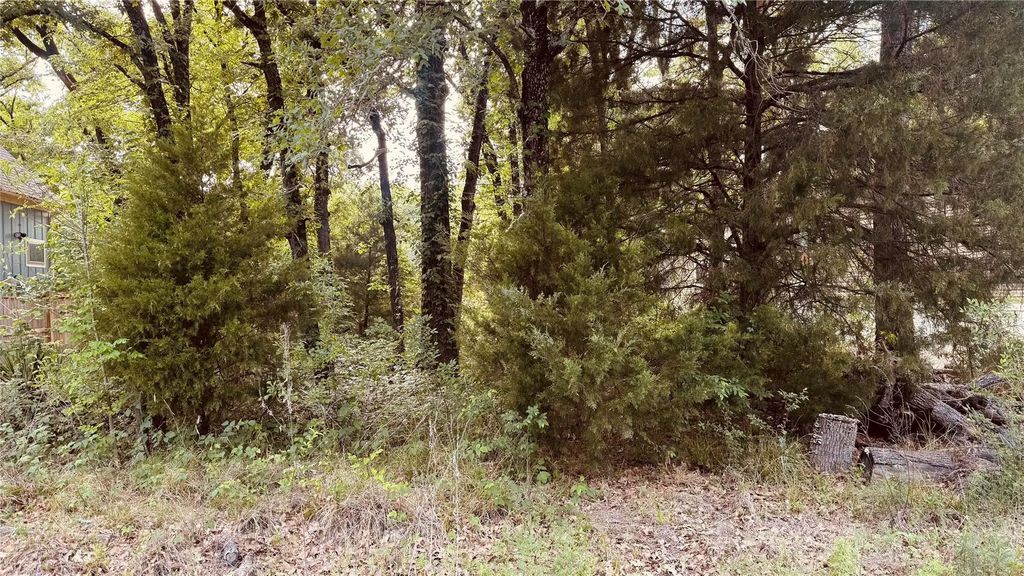 141 Elk Cove Drive, Mabank