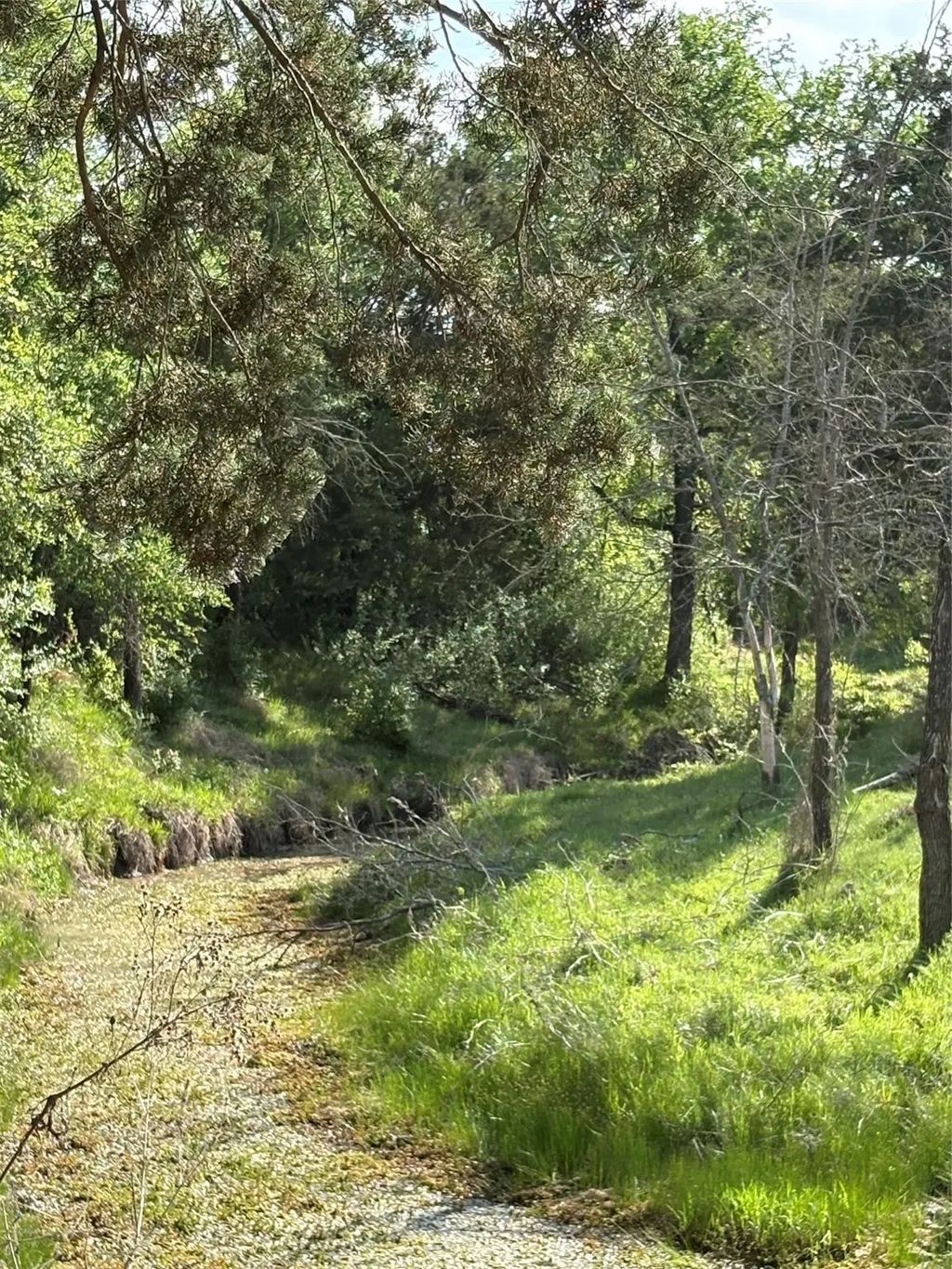 Tbd Whitetail Springs Lane, Gustine