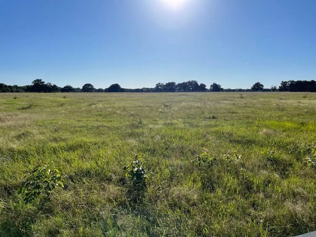Tbd County Road 3561, Sulphur Bluff