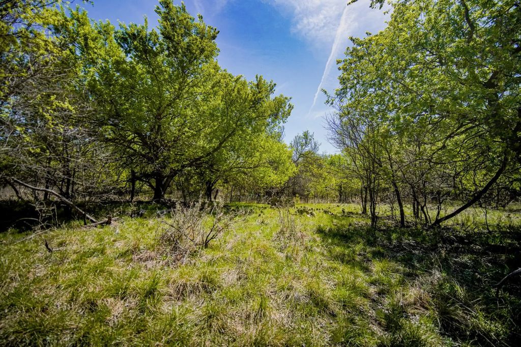 100 Acres Fm 2950, Jermyn