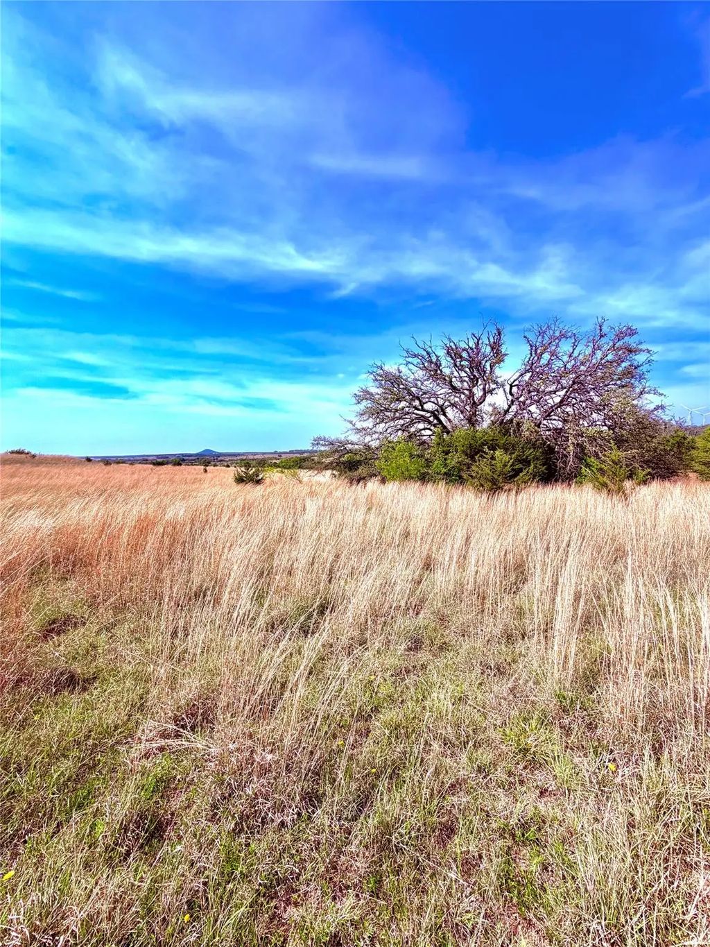 39 Cr 330, Goldthwaite