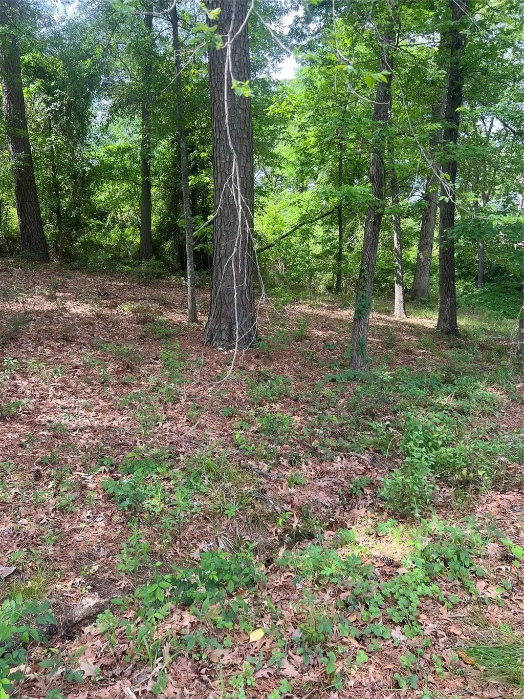 5417 Briarcliff Circle, Shreveport
