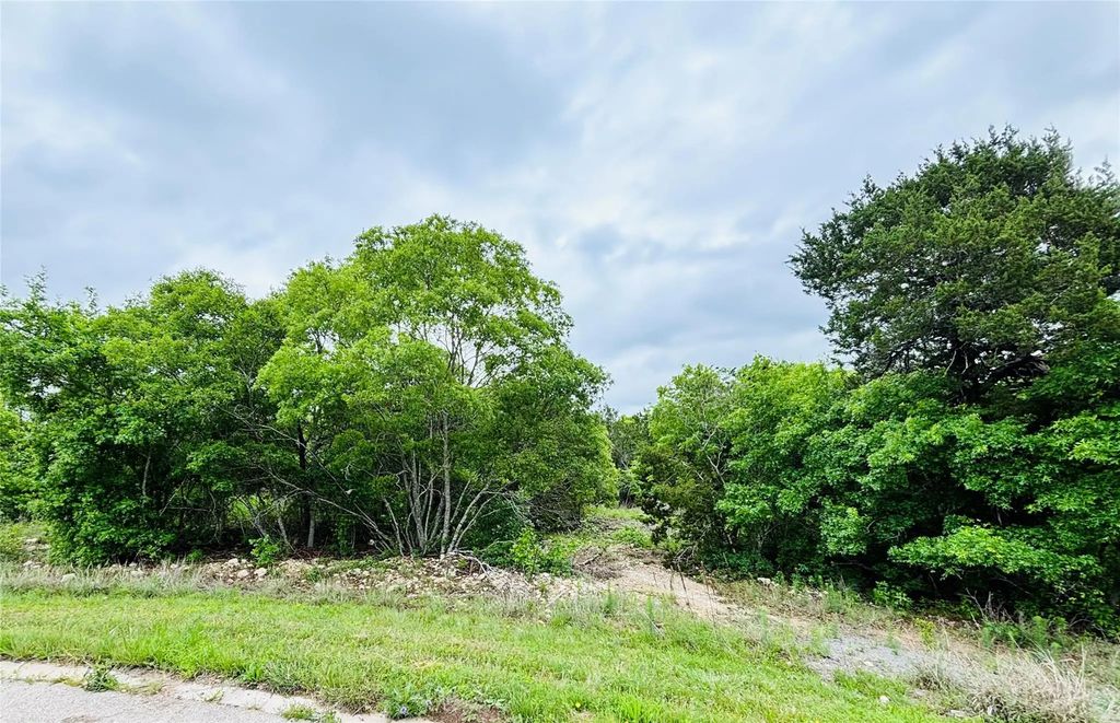 8505 Shetland Court W, Cleburne