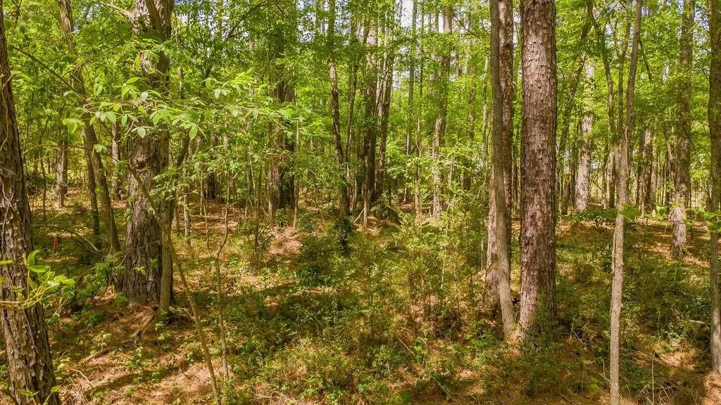 1723 Pineview Lane, Hideaway