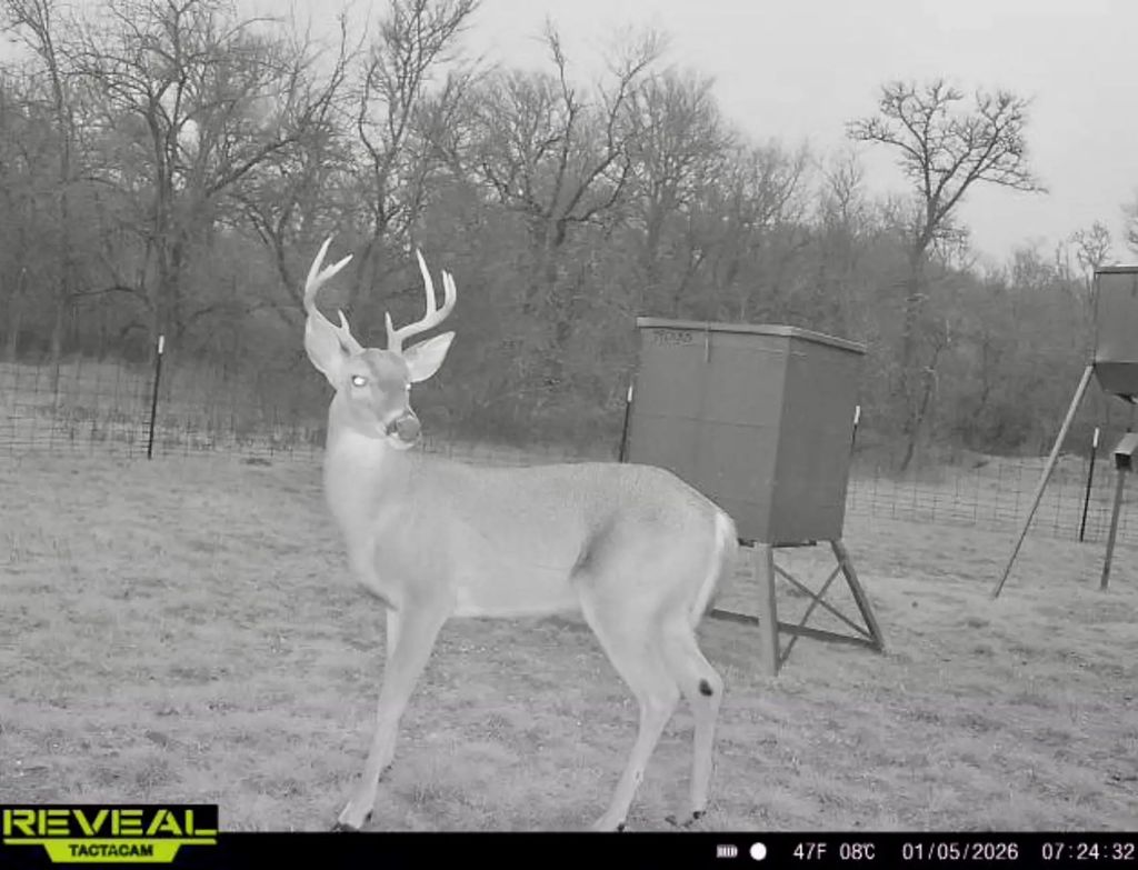 Tbd 213.5 Acs Fcr 984, Mexia