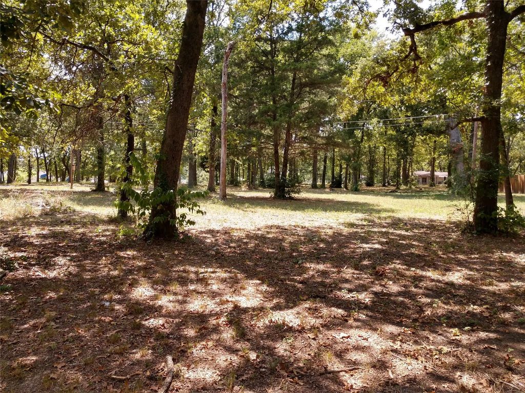 373 Punta Pescador, Gun Barrel City