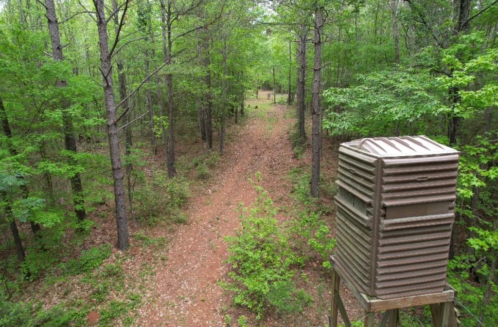Tbd County Road 120c, San Augustine