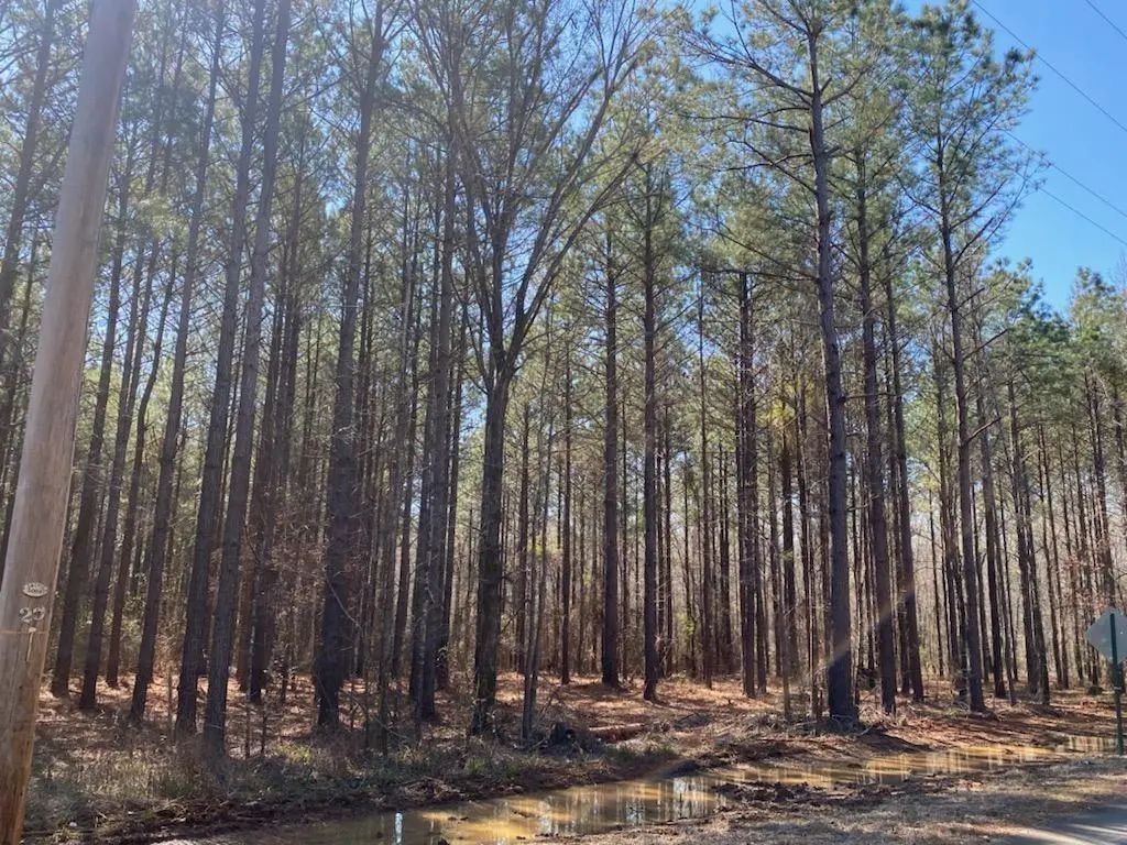 460 Cotton Valley Road, Haughton