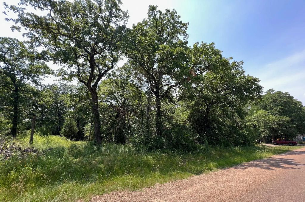 Tbd Natchez Trail, Mabank