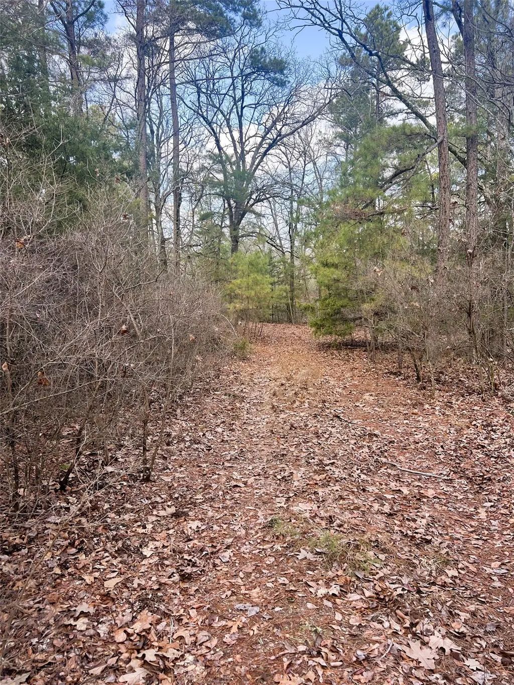 Private Road 8000, Winnsboro