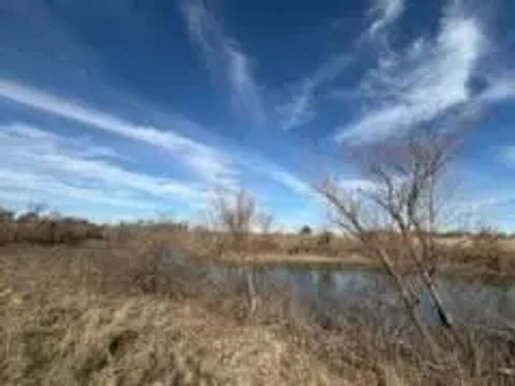 7782 County Road 1228, Godley