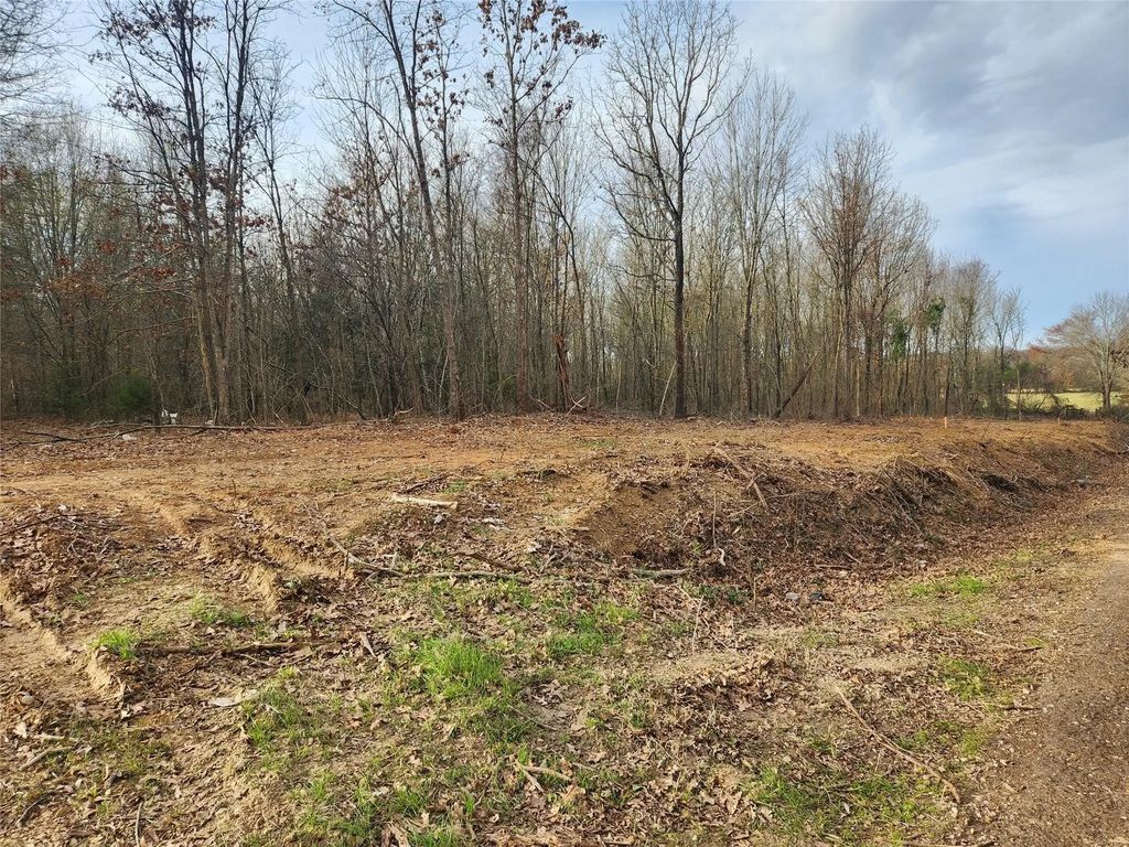 Lot 3 Cr 2310, Sulphur Springs